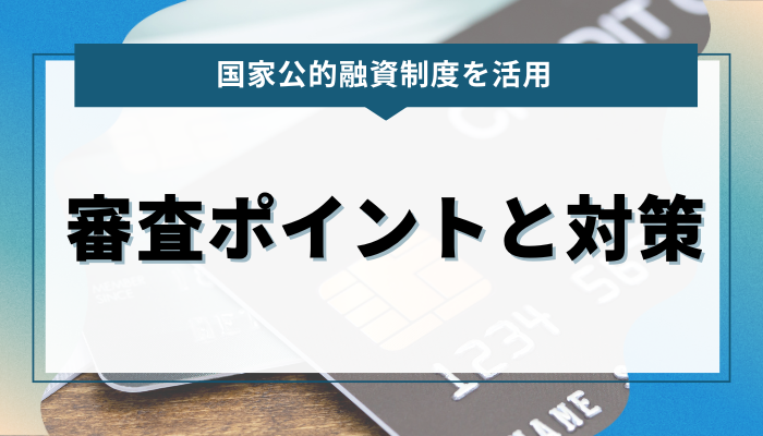 公的融資制度を利用する際の審査ポイントと対策